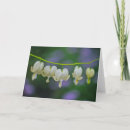 Suche nach blutendes herz karten Natur