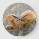 Suche nach rollstuhl wanduhren Natur