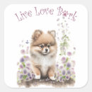 Recherche de pomeranian autocollants Mignon