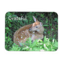 Suche nach dankbarkeit magnete Vielen dank