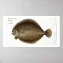 Recherche de ludwig posters Vie