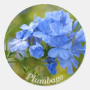Recherche de fleurit autocollants Bleu