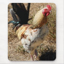 Recherche de coq tapis souris Ferme