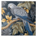 Recherche de perroquet carreaux Tropical