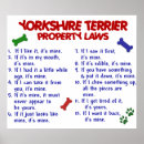 Suche nach lustige yorkshire terrier poster Spaß