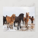 Suche nach scandinavia poster Snow