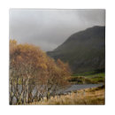 Recherche de lacs de montagne carreaux Arbres