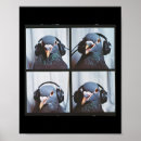 Suche nach birds poster Bewusstsein