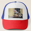 Recherche de aviaire casquettes Mignon