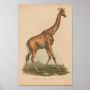 Recherche de vintage giraffe art Girafe