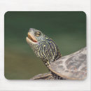 Suche nach schildkröte muschel mousepads Wasser