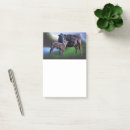 Suche nach am see poster post it Natur