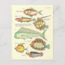 Suche nach bunte fische postkarten Meer
