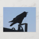 Recherche de mythique photographie Nature