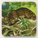 Recherche de racines dessous de verres Nature