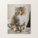 Recherche de chats puzzles Mignon