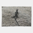 Suche nach schwarze eidechse Natur