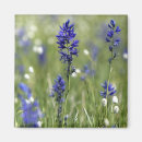 Recherche de ampoule magnets Printemps