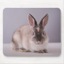 Recherche de se reposer tapis souris Mignon