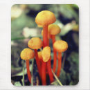 Suche nach pilz mousepads Orange