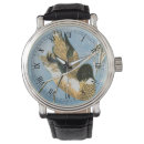 Recherche de canards montres Mallalard