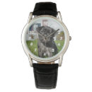Recherche de de chiot montres Noir