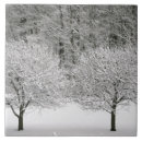 Suche nach natürliche welt fliesen Niemand