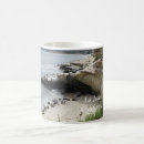 Recherche de otaries tasses Océan