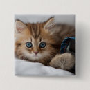 Suche nach farbbild buttons Nahaufnahme