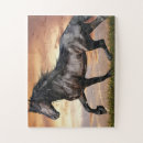 Recherche de cheval noir puzzles Animal