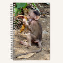 Recherche de singe papeterie Animal sauvage