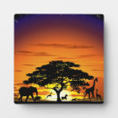 Suche nach wild fotoplatten Natur