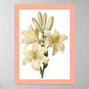 Suche nach flower poster Beautiful