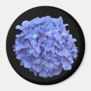 Recherche de plante fleurissant magnets Pétales