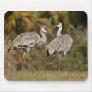 Suche nach kran mousepads Natur