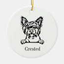 Suche nach chinesisches ornamente Hund
