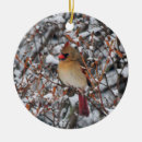 Suche nach roter kardinal ornamente Waldland