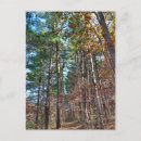 Recherche de chemin forestier cartes postales Automne