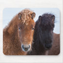 Suche nach isländisch mousepads Bauernhof