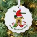 Suche nach airedale terrier karten Haustiere
