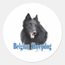 Recherche de garde de chien autocollants Berger