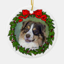 Recherche de aussies ornements Pour animaux