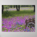 Suche nach wildflower painting poster Season