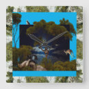 Recherche de koalas horloges Pour tous