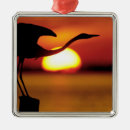Suche nach florida ornamente Himmel