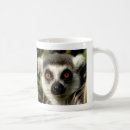 Suche nach lemuren tassen Ring angebundener lemur