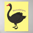 Suche nach schwarzer schwan poster Schwarzschwan