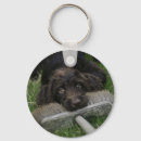 Suche nach labradoodle waren schlüsselanhänger Welpe