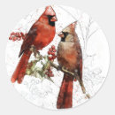 Recherche de cardinaux autocollants Décoration