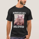 Suche nach sphynx katze kleidung Sphinx